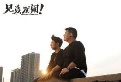 兄弟别闹电影在线观看,重温兄弟情深，笑中带泪的温馨故事