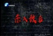 杀入敌后全集在线观看,烽火岁月的英勇传奇