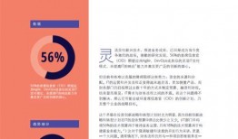 寒鸦技能爆料最新视频下载,视频爆料背后的强大功能解析