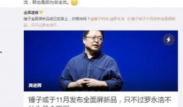 锤子科技最新爆料,颠覆性设计，性能再升级，揭秘未来旗舰新篇章”
