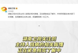 娱乐圈吃瓜文案最新,揭秘明星背后的故事与真相